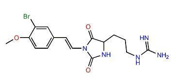Parazoanthine D